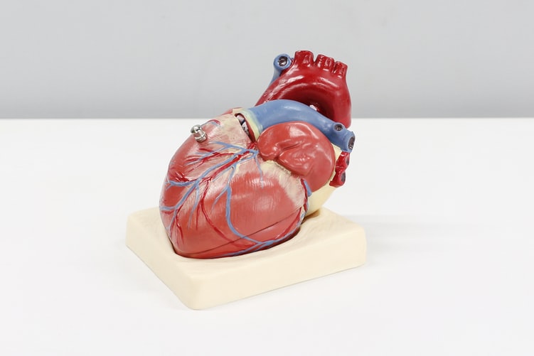 Cipa Assay Testing: An Aid for Cardiac Safety?